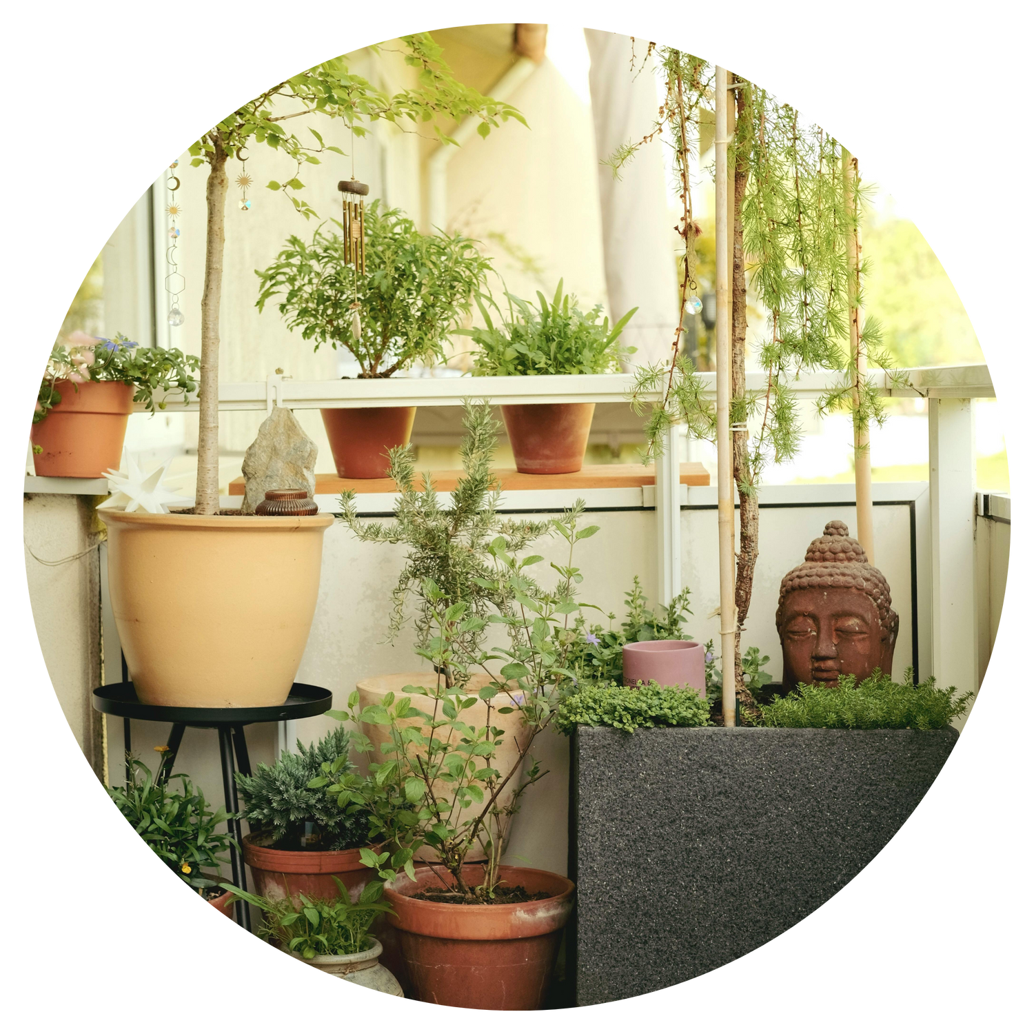 Mindful Melter