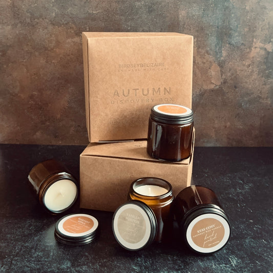 Autumn Discovery Box